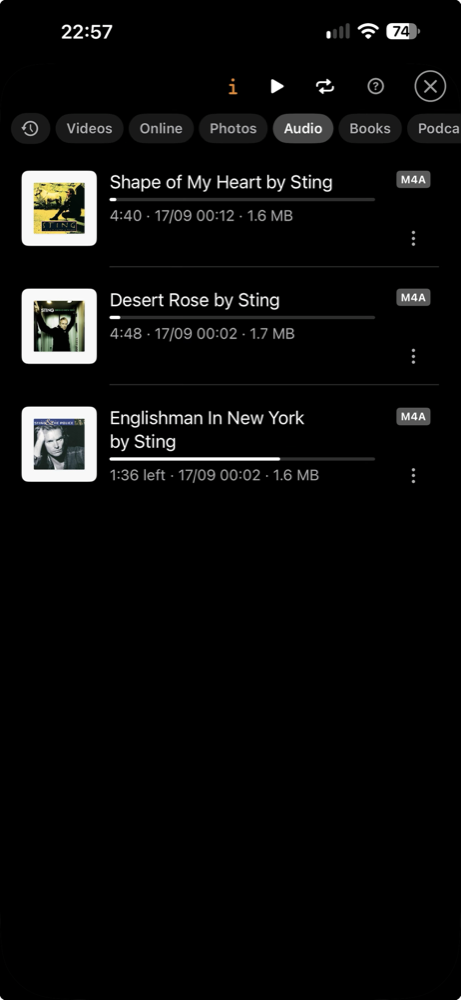 Вкладка Audio в Black Duck Media Library с сохранёнными треками