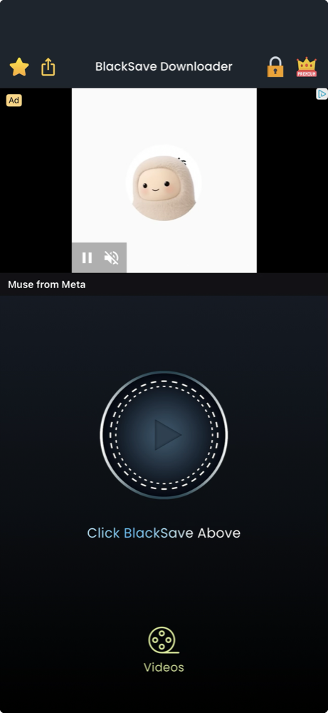 Главный экран BlackSave Downloader